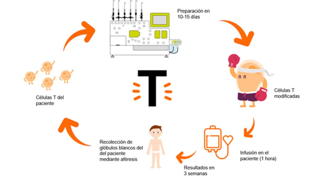 Cáncer, ¿una enfermedad curable? Te explicamos cómo Cáncer, ¿una enfermedad curable? Te explicamos cómo