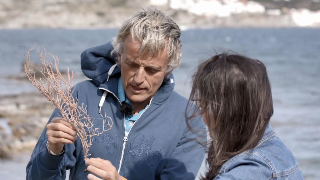 La restauración de las gorgonias con Jesús Calleja