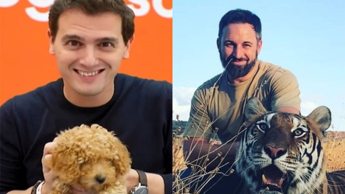 El perro de Ciudadanos se enfrenta al tigre de Vox: "No me da miedo vuestro lindo gatito" El perro de Ciudadanos se enfrenta al tigre de Vox: "No me da miedo vuestro lindo gatito"