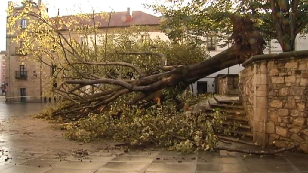 El viento deja huella en varios puntos de España: árboles arrancados y estructuras destrozadas