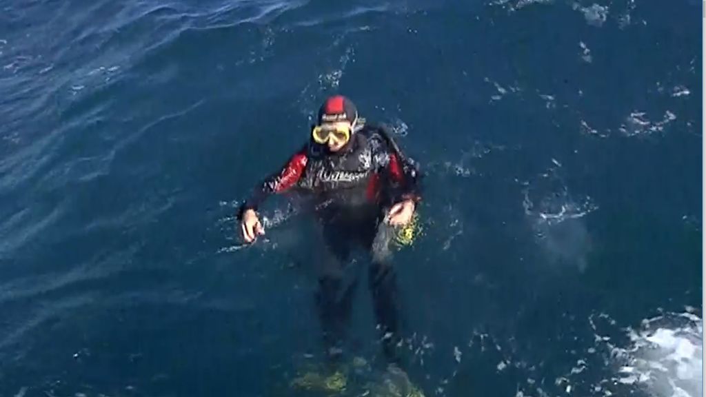 Pedro Duque bucea en la isla de Tabarca para conocer los efectos del cambio climático en esta reserva marina