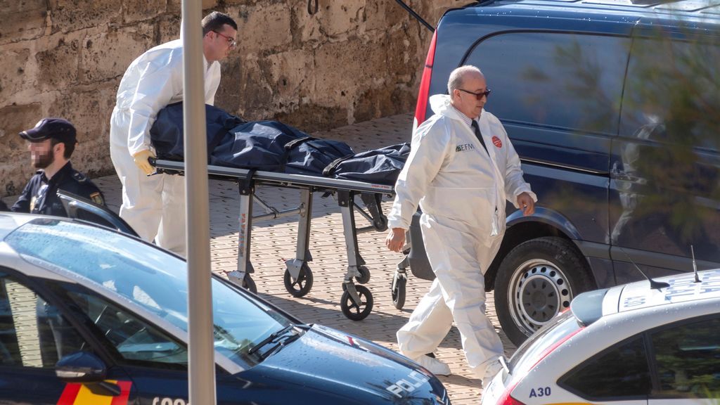 Fallece una mujer al caerle una palmera en Mallorca