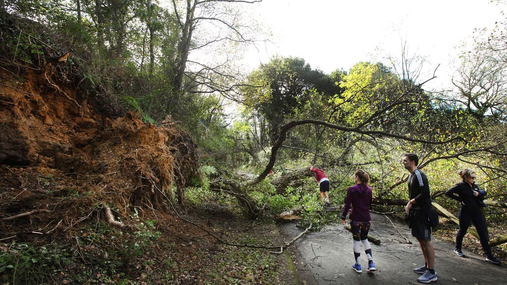 Árboles caídos y calles cortadas en Asturias