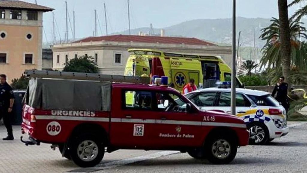 Muere una mujer al recibir el impacto de una palmera en el Parc de la Mar en Mallorca