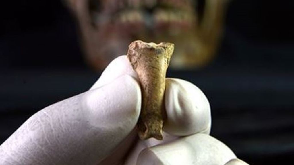 20191104CULT NEANDERTAL 20191104CULT NEANDERTAL