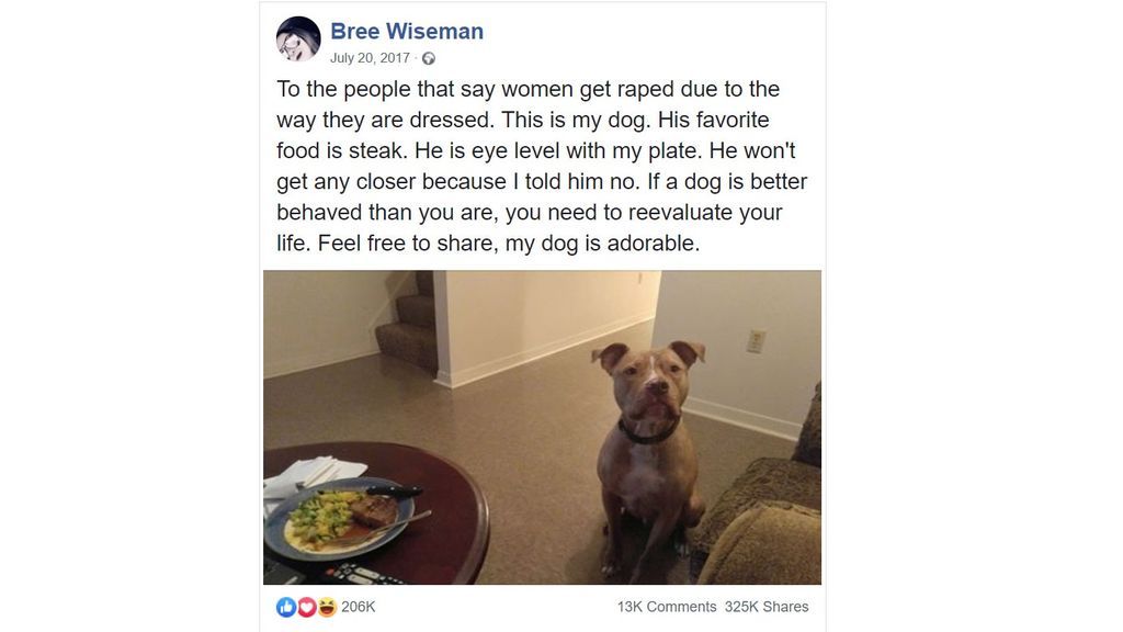 foto perro violación
