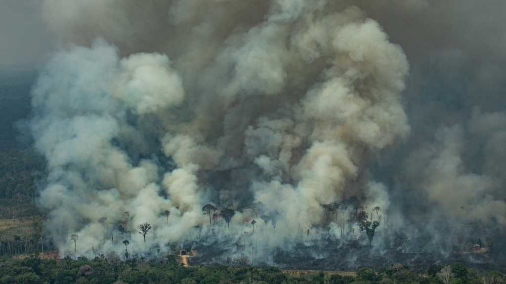 Miles de científicos declaran emergencia climática y piden acción inmediata Miles de científicos declaran emergencia climática y piden acción inmediata