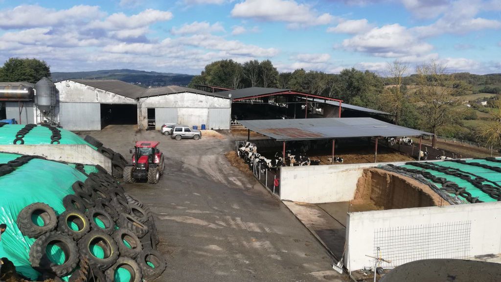 Manuel, en su explotación de Portomarín (Lugo), tiene unas 400 vacas