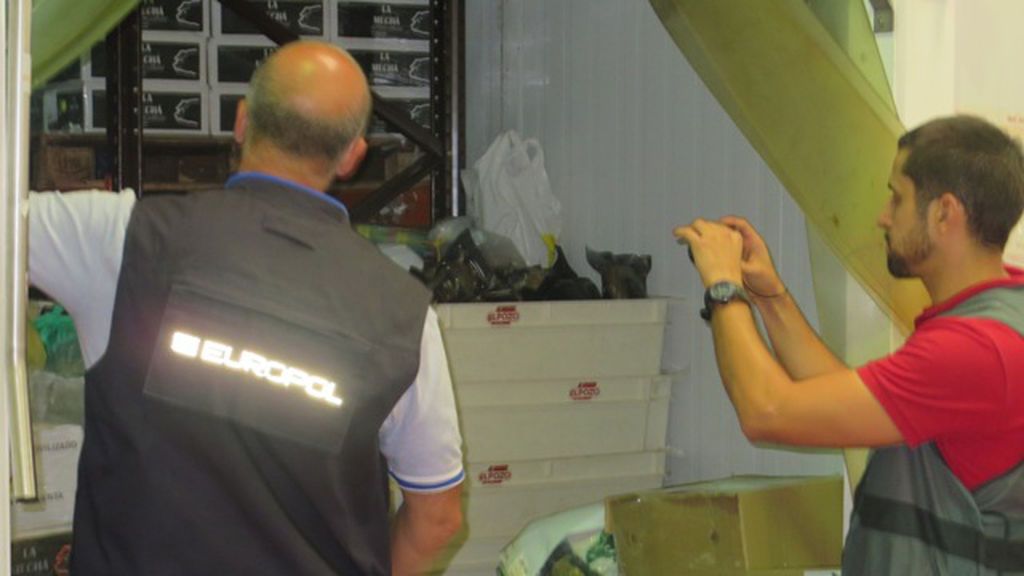 Guardia Civil concluye la investigación abierta sobre la listeriosis