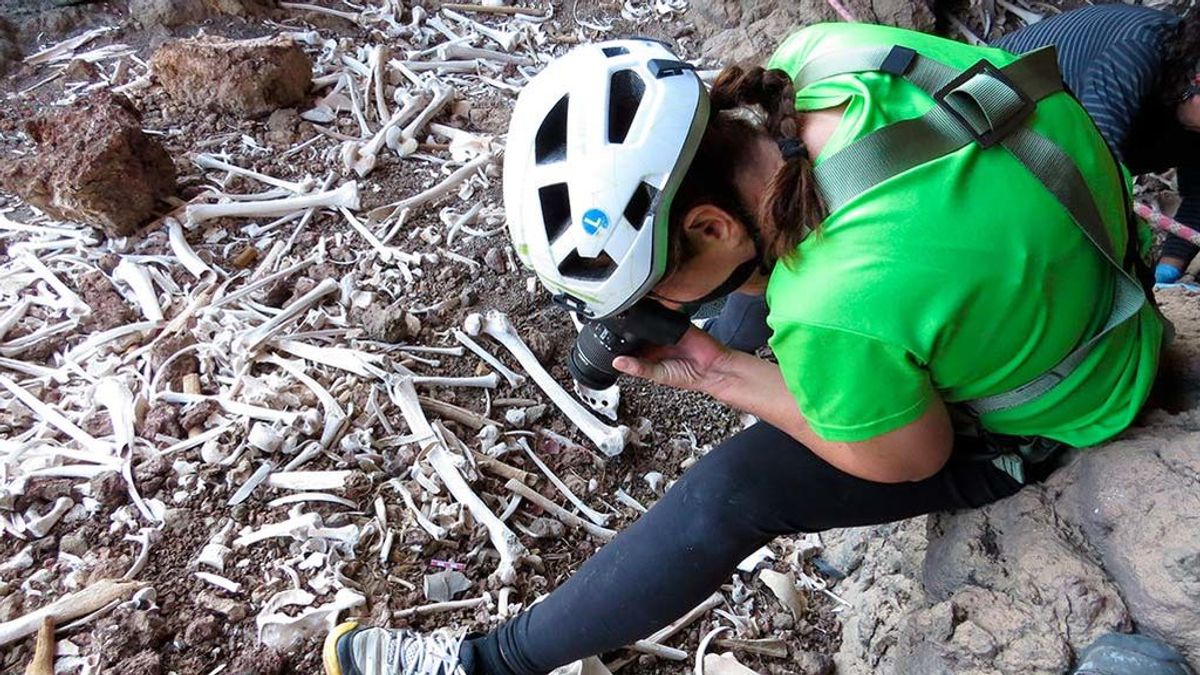 Hallada en Gran Canaria una cueva funeraria prehispánica con unos 80 cuerpos Hallada en Gran Canaria una cueva funeraria prehispánica con unos 80 cuerpos