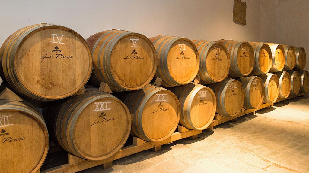 Bodegas Más Que Vinos.
