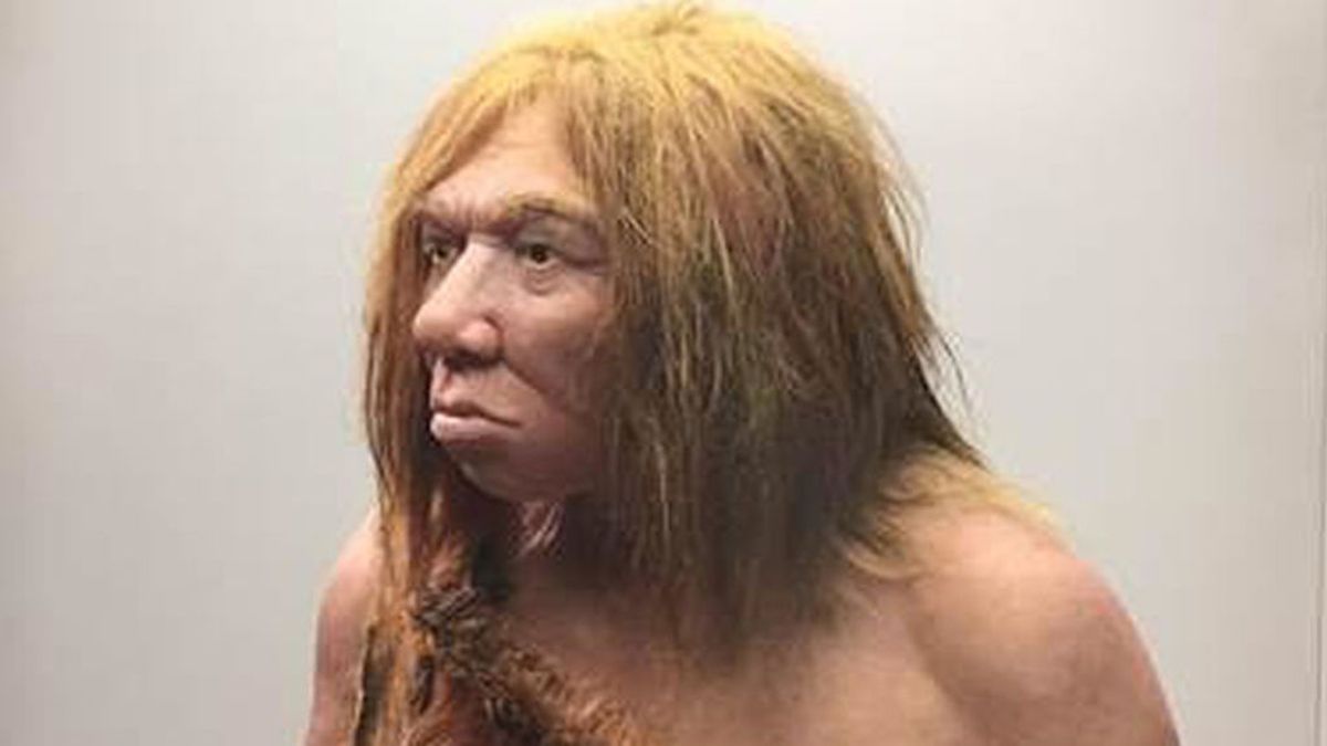 Posibles causas de la extinción de los neandertales: las enfermedades humanas
