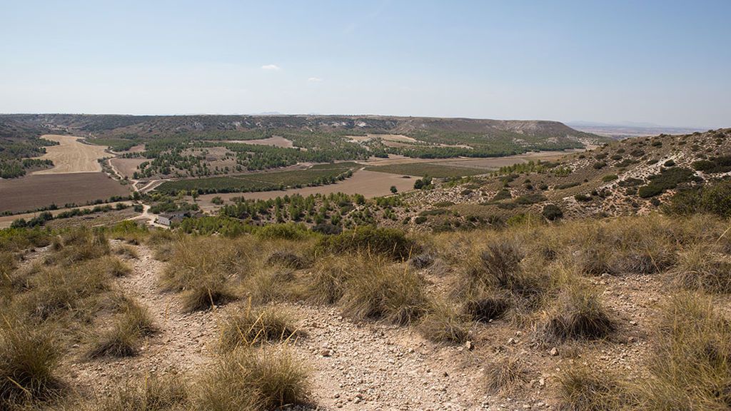 Bodegas Más Que Vinos.