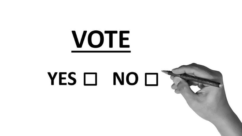 ¿Cómo funciona el cerebro de los votantes? ¿Cómo funciona el cerebro de los votantes?