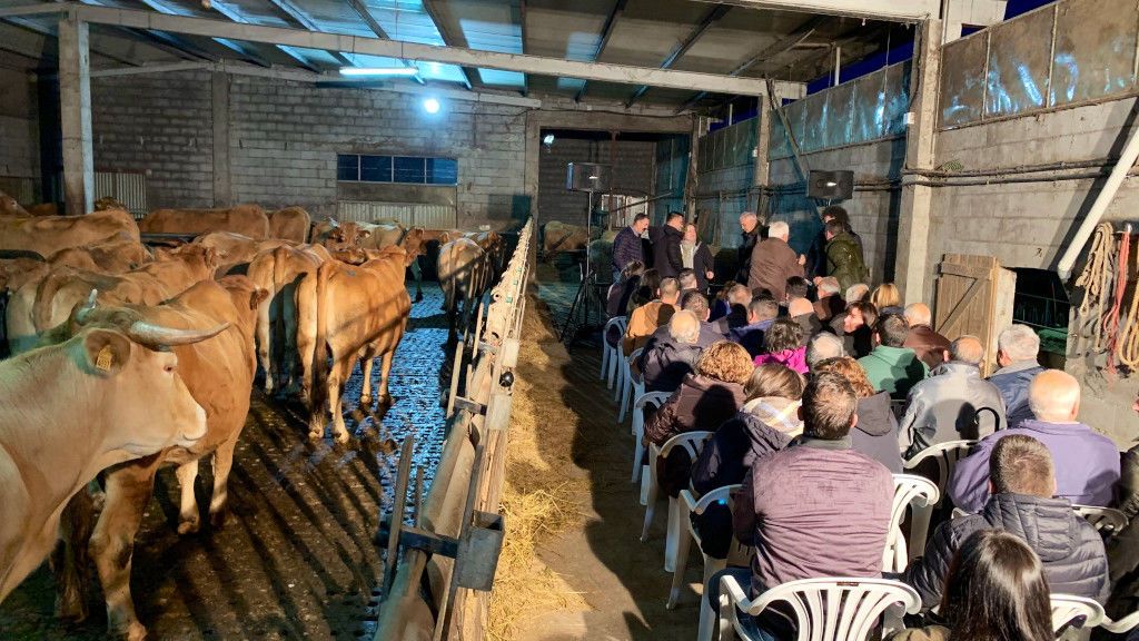 Mitín del PP en una cuadra de vacas de Lugo Mitín del PP en una cuadra de vacas de Lugo