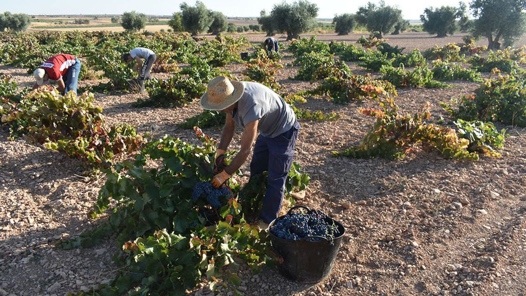 Más Que Vinos y el mirador del cielo