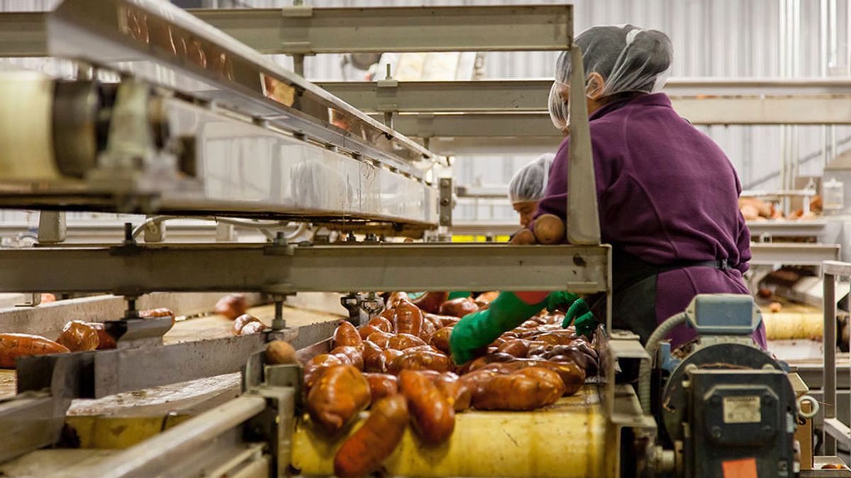 Más impuestos, menor precariedad laboral y pensiones: objetivos del preacuerdo Más impuestos, menor precariedad laboral y pensiones: objetivos del preacuerdo