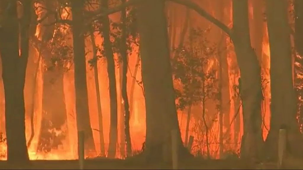 Los incendios descontrolados siguen arrasando el este de Australia