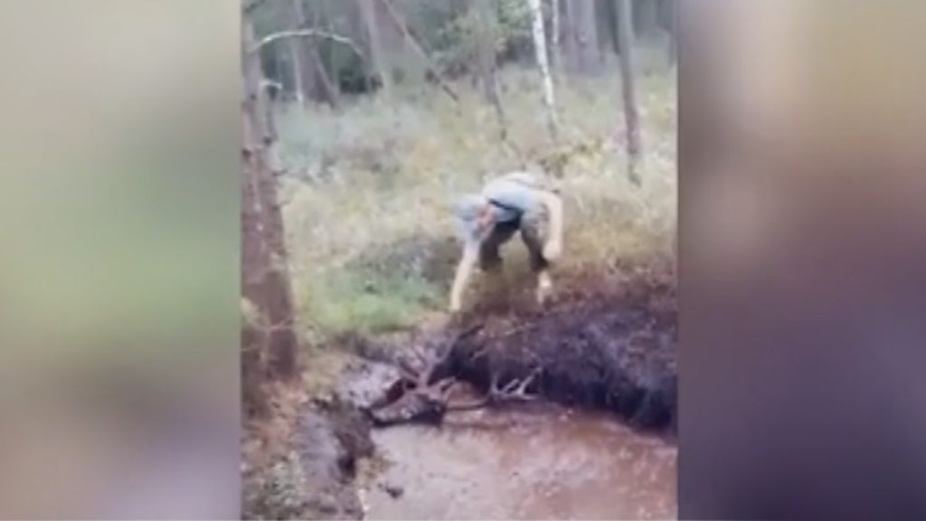 Un grupo de hombres rescatan en el último momento a un ciervo hundido en el fango