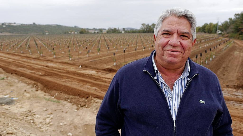 Gustavo Pinedo ante la plantación de aguacates