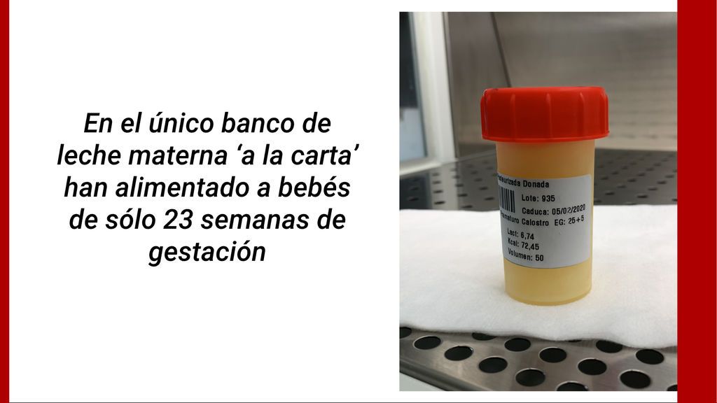 BANCO_LECHE