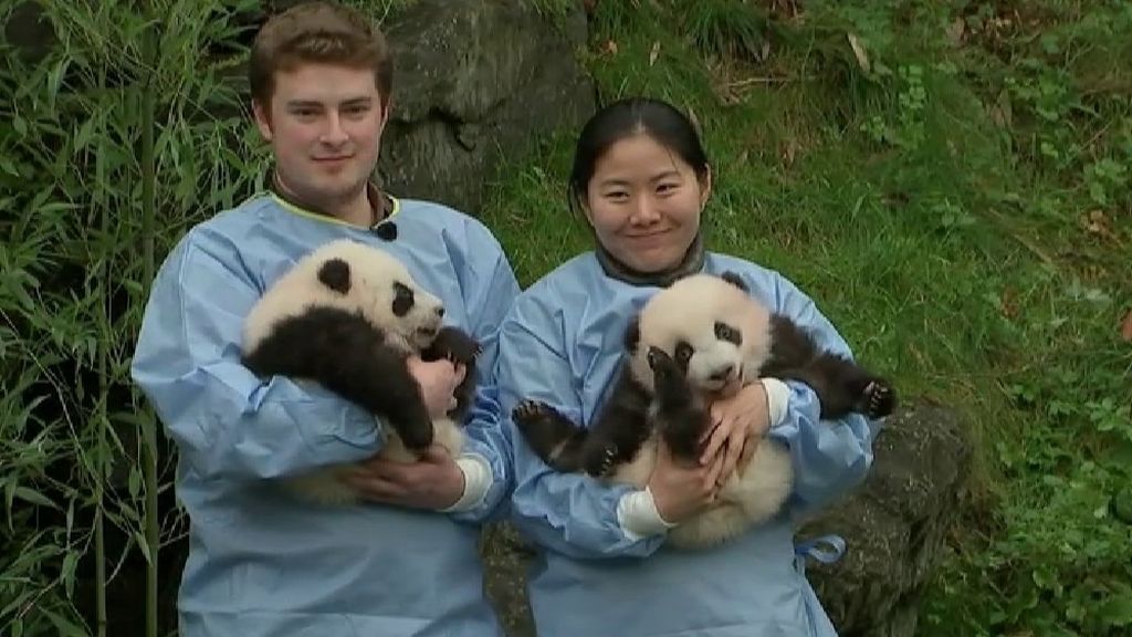 Bélgica presenta a 'Bao Mei' y 'Bao Di' Bélgica presenta a 'Bao Mei' y 'Bao Di'