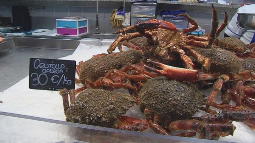 El centollo y la centolla llegan a las lonjas gallegas: diferencias entre ellos, precios y recomendaciones para Navidad