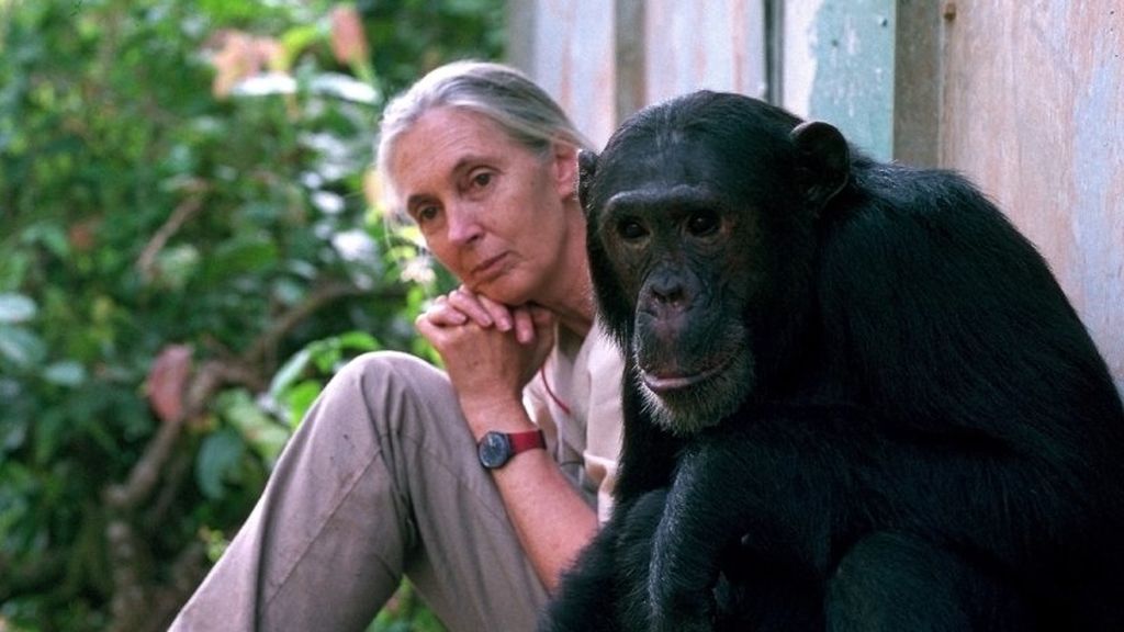 La Fundación BBVA premia con mas de medio millón de euros la conservación de la biodiversidad La Fundación BBVA premia con mas de medio millón de euros la conservación de la biodiversidad