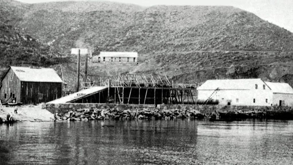 Primera factoría ballenera establecida en la ensenada de Getares. En torno al año 1923