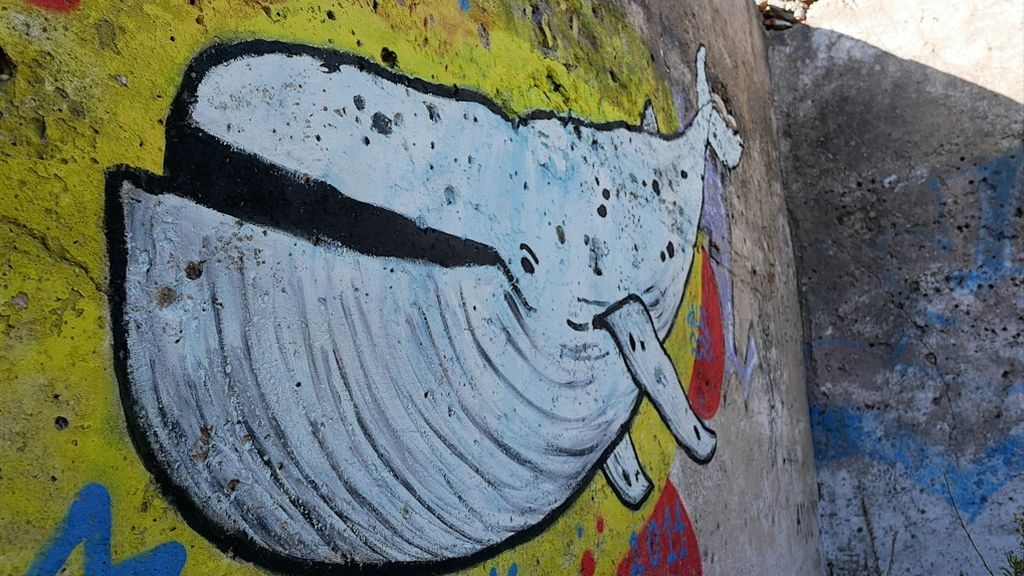Dibujo de una ballena en las cercanías de las ruinas de la ballenera de Algeciras