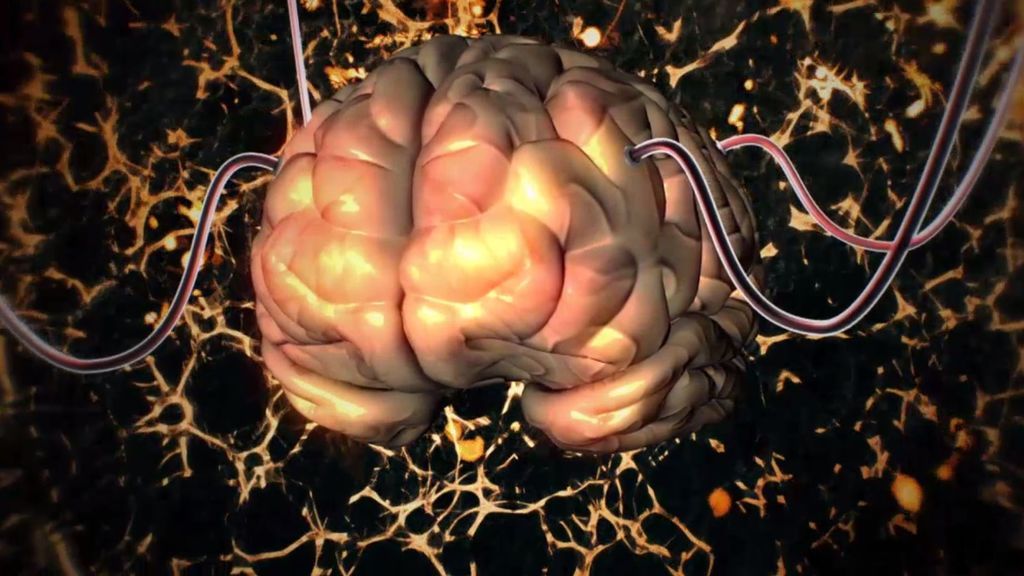 La madurez de nuestro cerebro