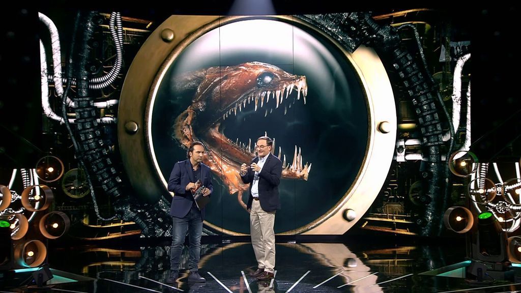 Los animales desconocidos del abismo marino