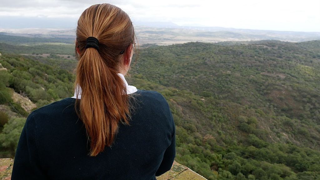 El parque natural de los Alcornocales