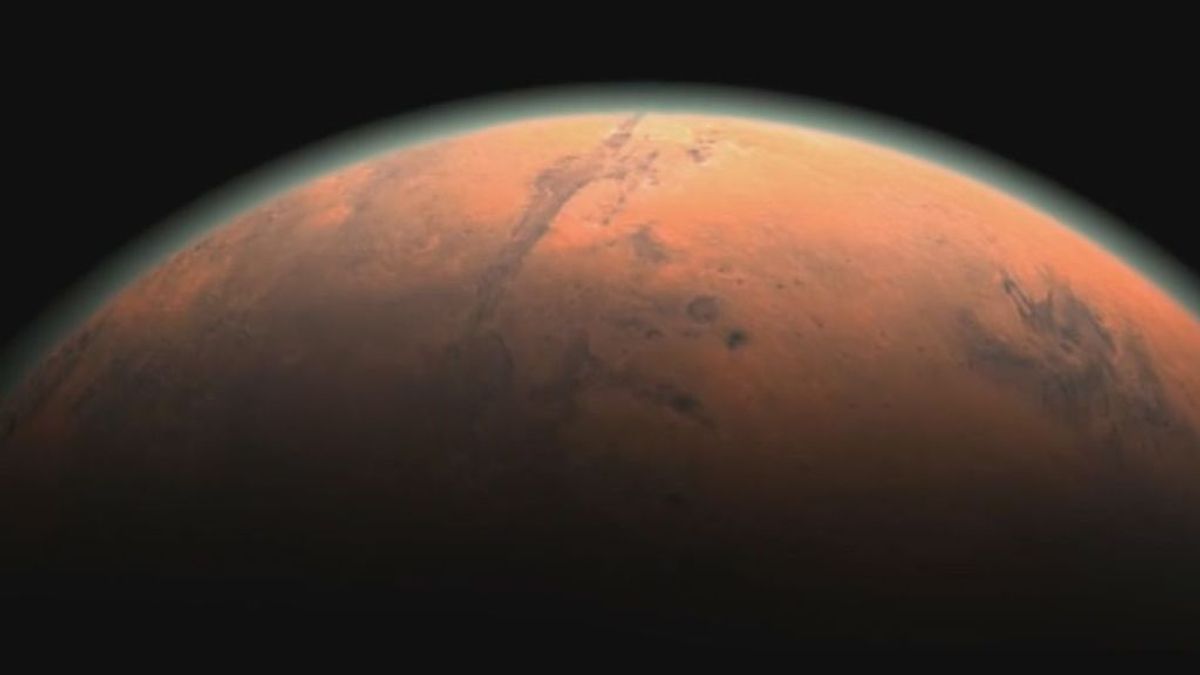 Una bacteria que produce hierro, clave para colonizar Marte