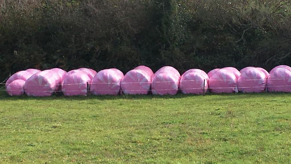 Encíntalo en rosa