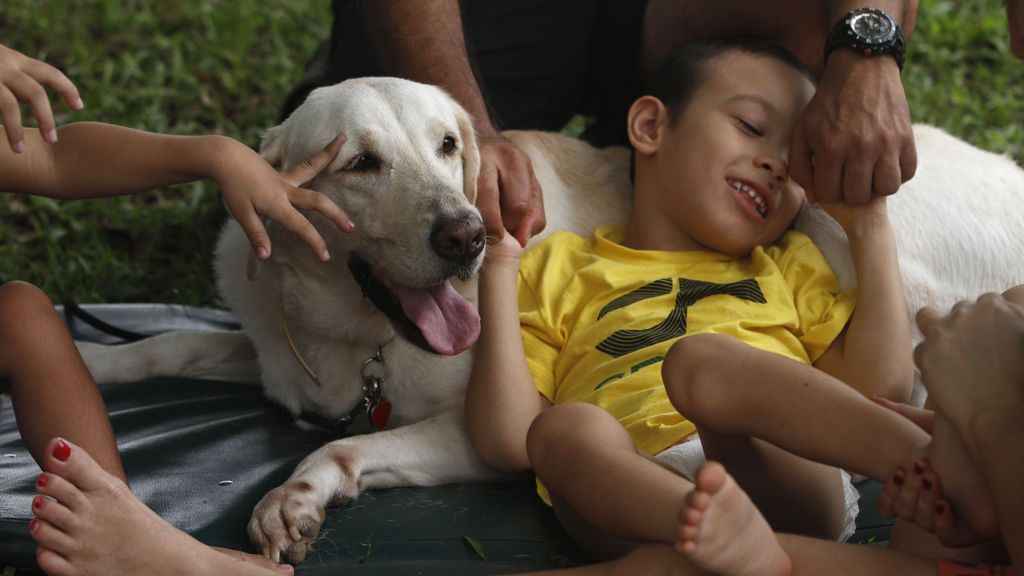 Mascotas y salud