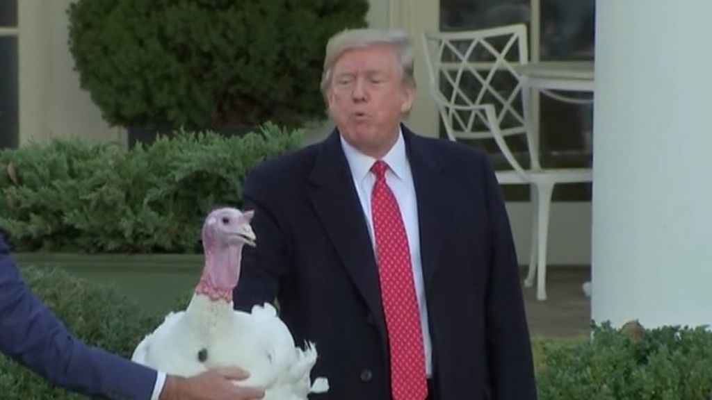 Donald Trump ha cumplido con la tradición de indultar a un pavo por Acción de Gracias.....