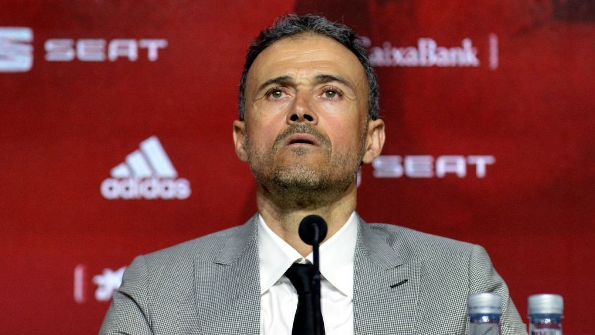Luis Enrique, sobre si pensó en la continuidad de Robert Moreno para no 'armar jaleo': "Sería lo más falso que podría hacerme" Luis Enrique, sobre si pensó en la continuidad de Robert Moreno para no 'armar jaleo': "Sería lo más falso que podría hacerme"