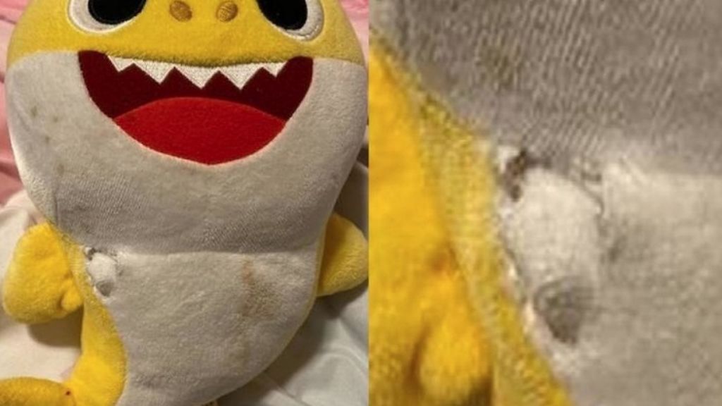 bayshark bayshark