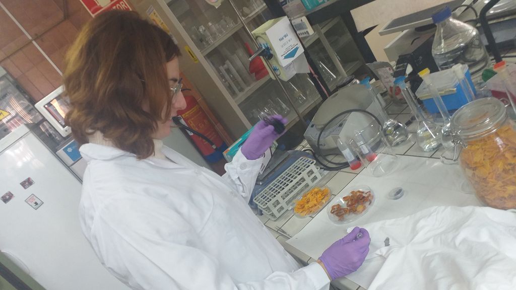 La piel de tomate: la solución a los envases de plástico, según investigadores de la Universidad de Málaga La piel de tomate: la solución a los envases de plástico, según investigadores de la Universidad de Málaga