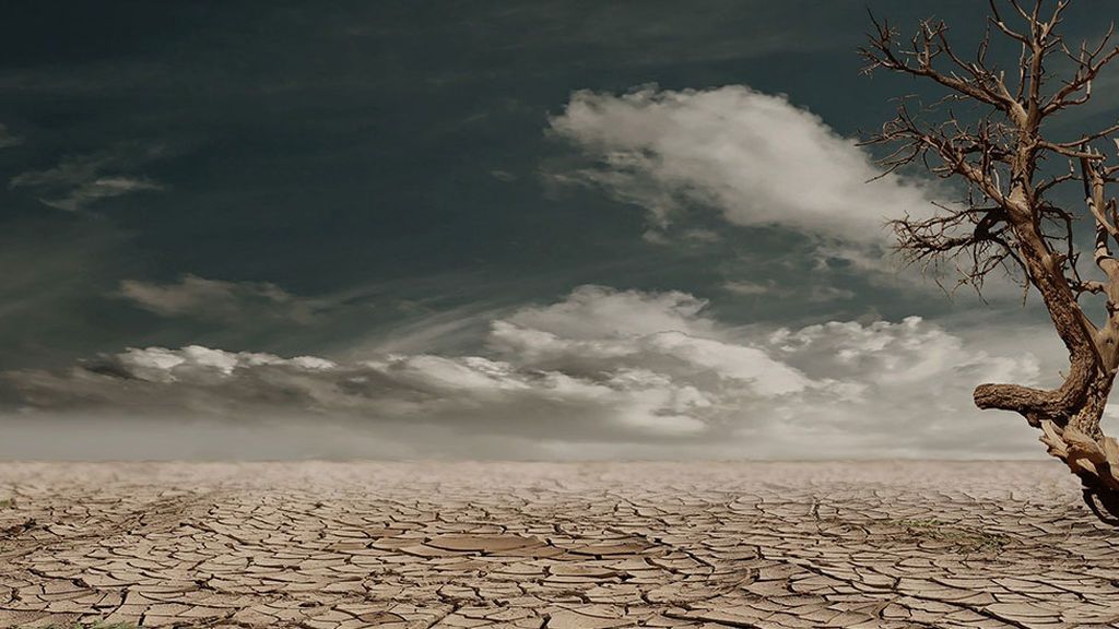 Hablemos (y escribamos bien) sobre el cambio climático en la COP25 Hablemos (y escribamos bien) sobre el cambio climático en la COP25