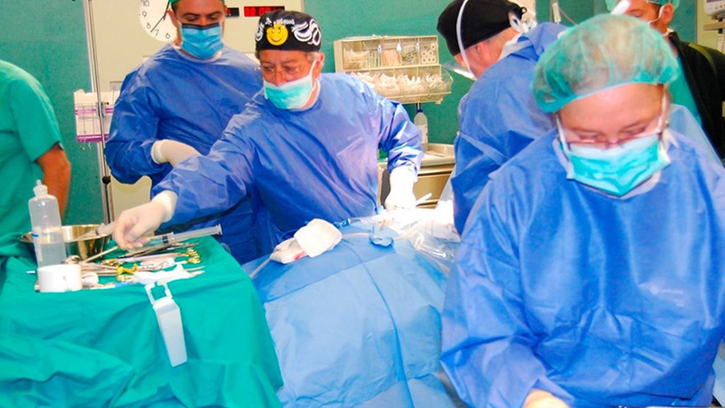 24 horas récord en trasplantes: 19 donantes, 27 hospitales y 8 vuelos para salvar 38 vidas 24 horas récord en trasplantes: 19 donantes, 27 hospitales y 8 vuelos para salvar 38 vidas