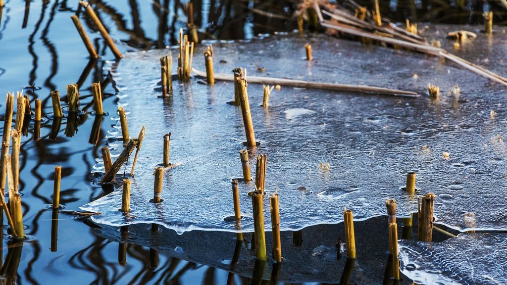 ONU: “Esta década ha sido la más calurosa de la historia”