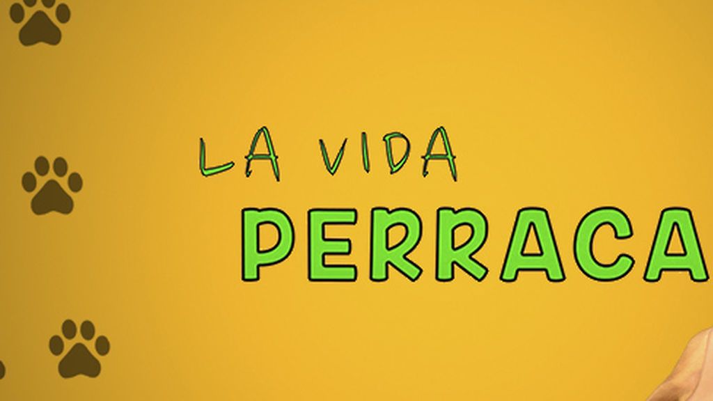 yogbiETuVndntE47d53864