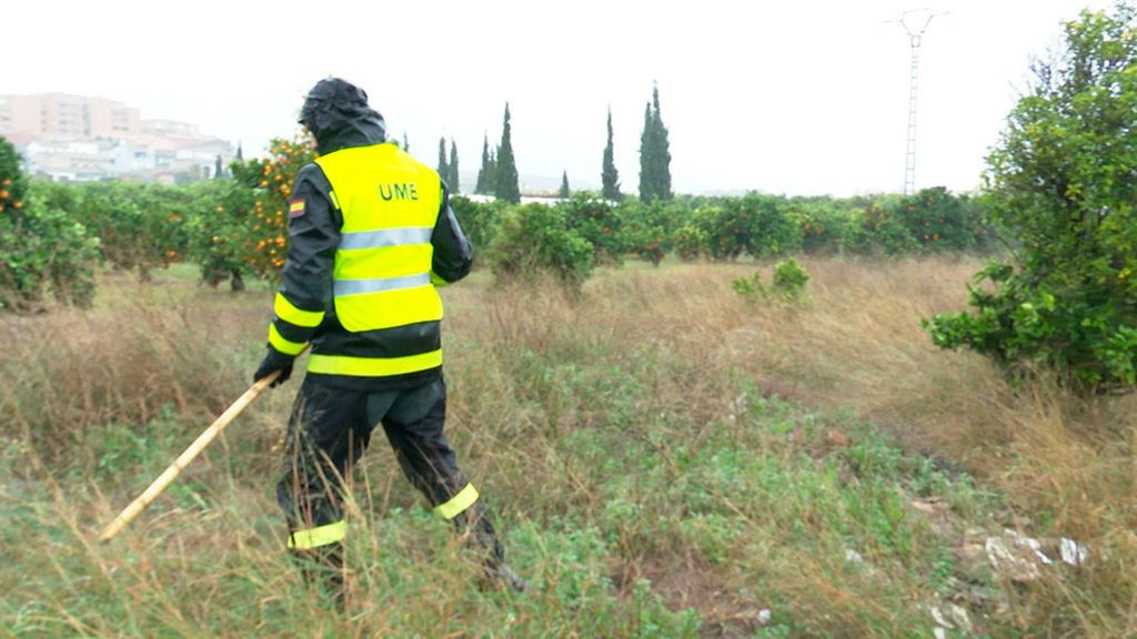 Una planta de residuos en Valencia paraliza su actividad por la investigación sobre Marta Calvo Una planta de residuos en Valencia paraliza su actividad por la investigación sobre Marta Calvo