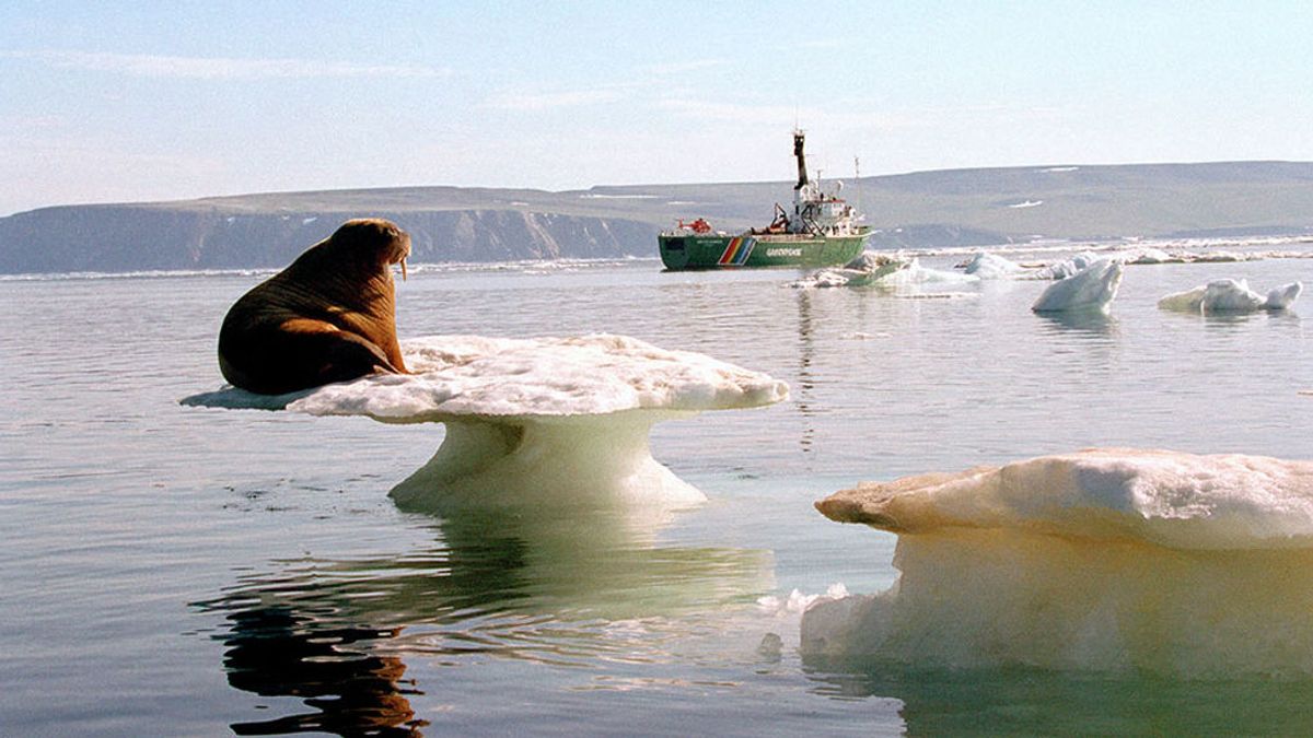 Greenpeace aprovecha la COP Azul para alertar del "vertiginoso colapso de los océanos"