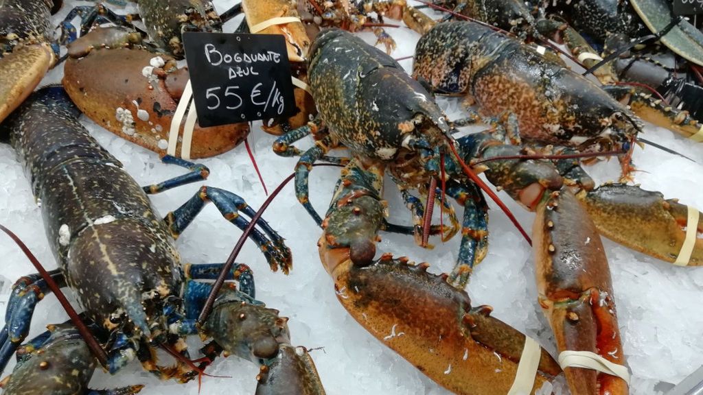Pasear por los puestos de los mercados es un regalo para los sentidos