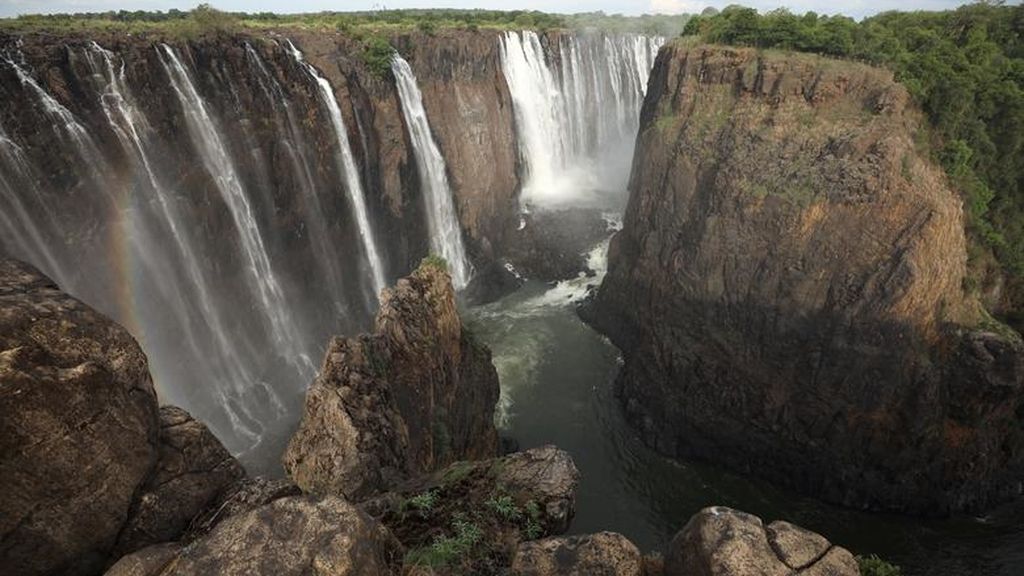 La sequía está provocando importantes impactos en la fauna y la flora