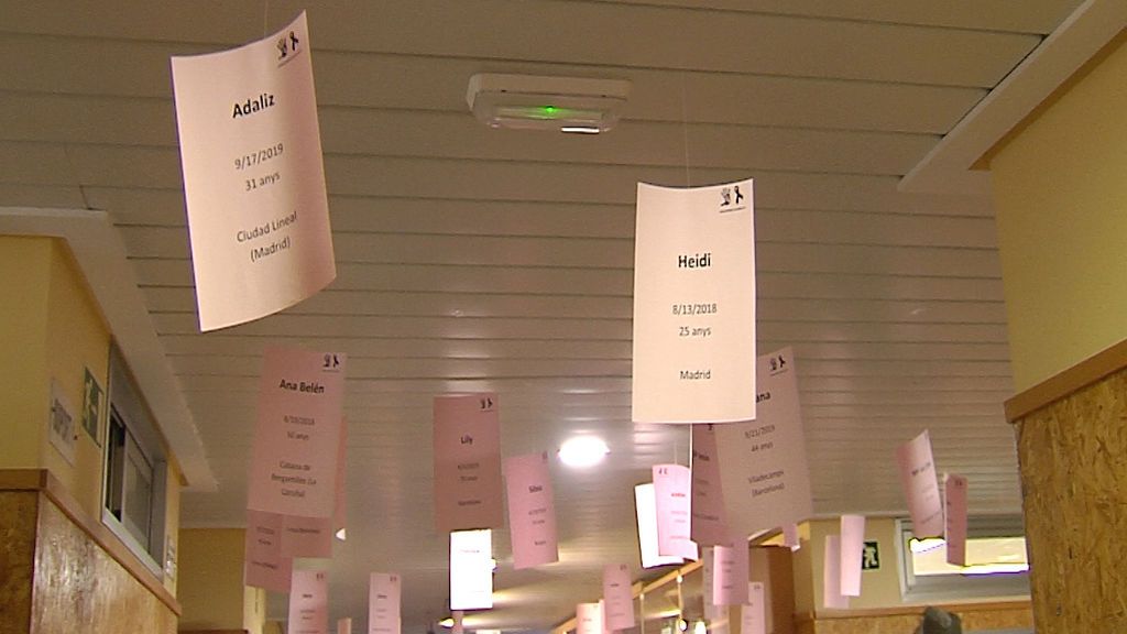 Carteles asesinadas