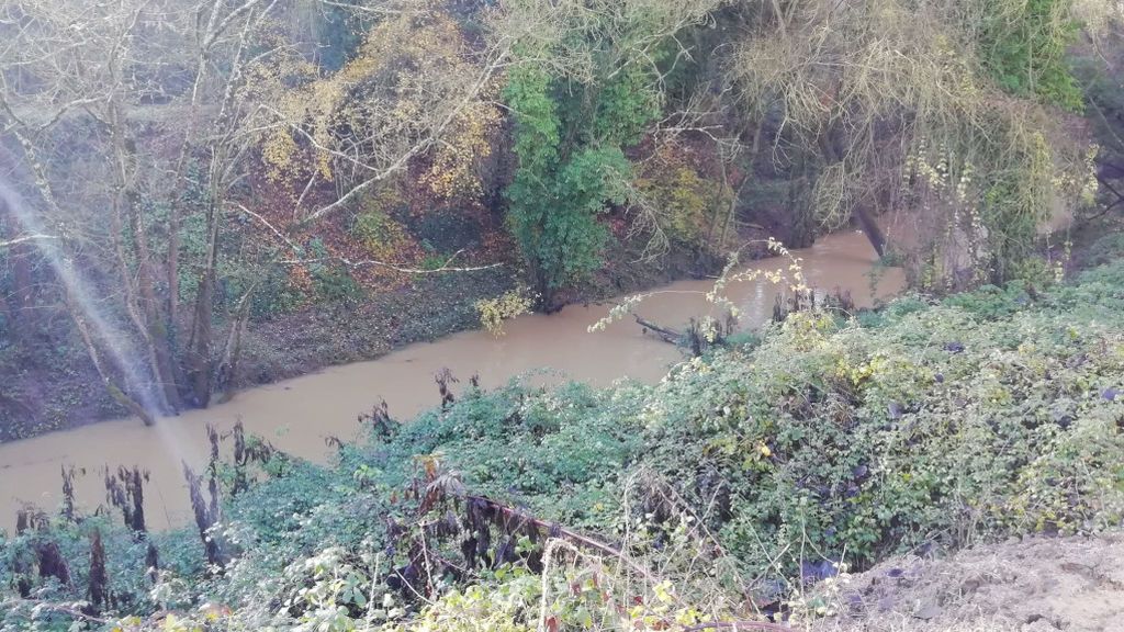 acequia sils8